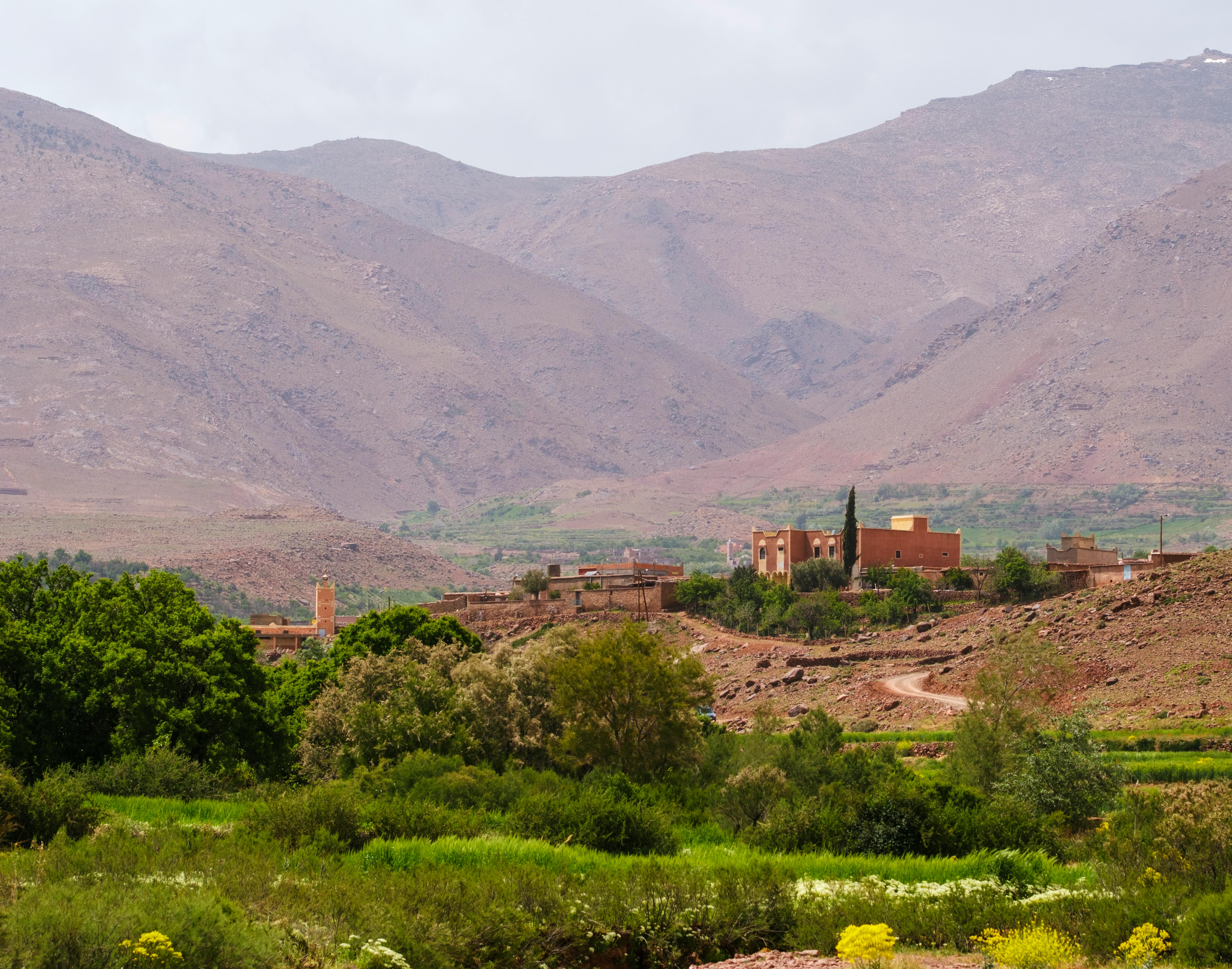 The Atlas Mountains